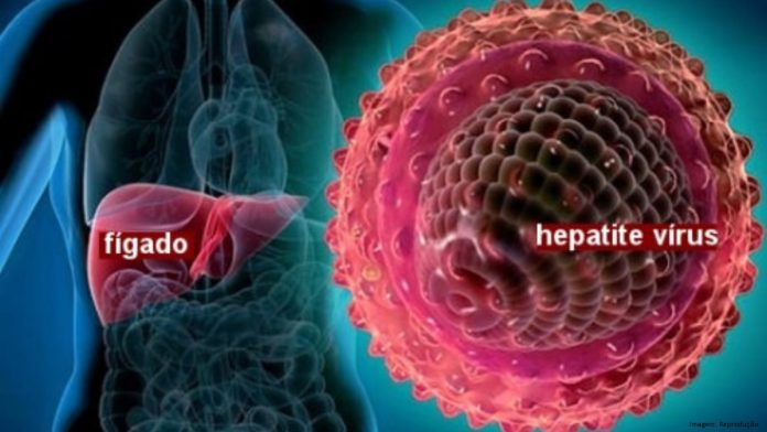 hepatites virais